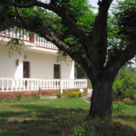 Corfu Country House Vitaládes 객실 사진